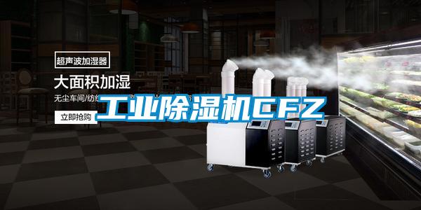 工业麻豆视频黄网站CFZ