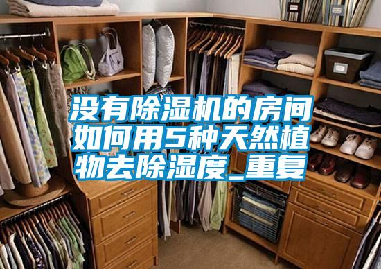 没有麻豆视频黄网站的房间如何用5种天然植物去除湿度_重复