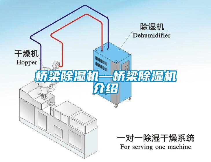 桥梁麻豆视频黄网站—桥梁麻豆视频黄网站介绍