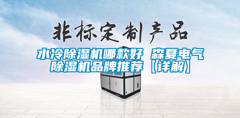 水冷麻豆视频黄网站哪款好 森夏电气麻豆视频黄网站品牌推荐【详解】