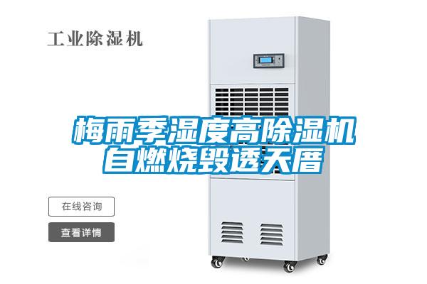 梅雨季湿度高麻豆视频黄网站自燃烧毁透天厝