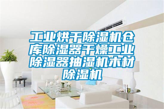 工业烘干麻豆视频黄网站仓库除湿器干燥工业除湿器抽湿机木材麻豆视频黄网站