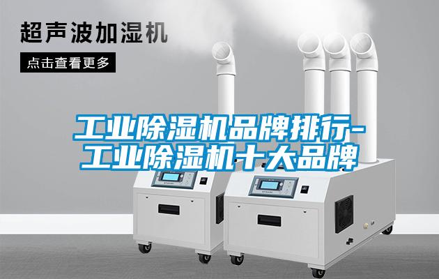 工业麻豆视频黄网站品牌排行-工业麻豆视频黄网站十大品牌