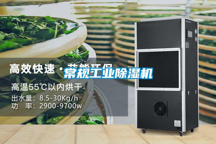 常规工业麻豆视频黄网站