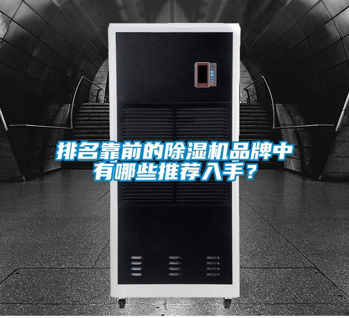 排名靠前的麻豆视频黄网站品牌中有哪些推荐入手？