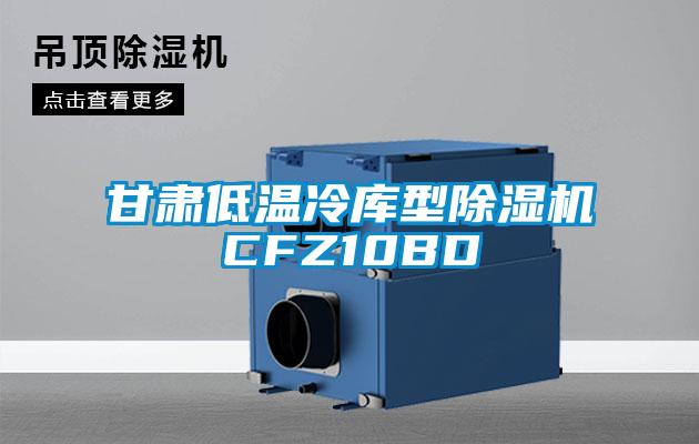 甘肃低温冷库型麻豆视频黄网站CFZ10BD