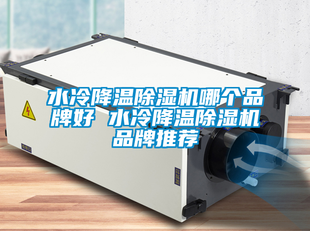 水冷降温麻豆视频黄网站哪个品牌好 水冷降温麻豆视频黄网站品牌推荐