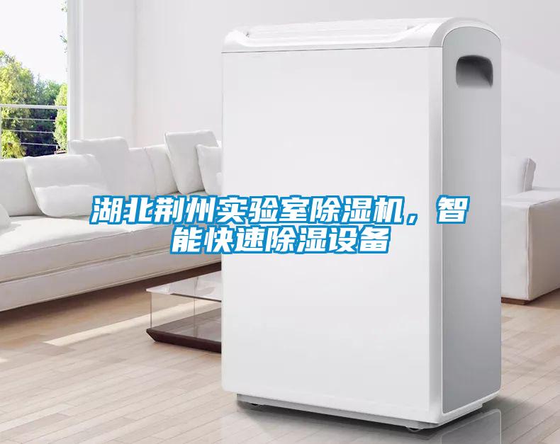 湖北荆州实验室麻豆视频黄网站，智能快速除湿设备