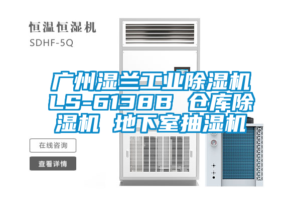 广州湿兰工业麻豆视频黄网站LS-6138B 仓库麻豆视频黄网站 地下室抽湿机