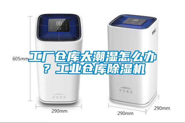 工厂仓库太潮湿怎么办？工业仓库麻豆视频黄网站