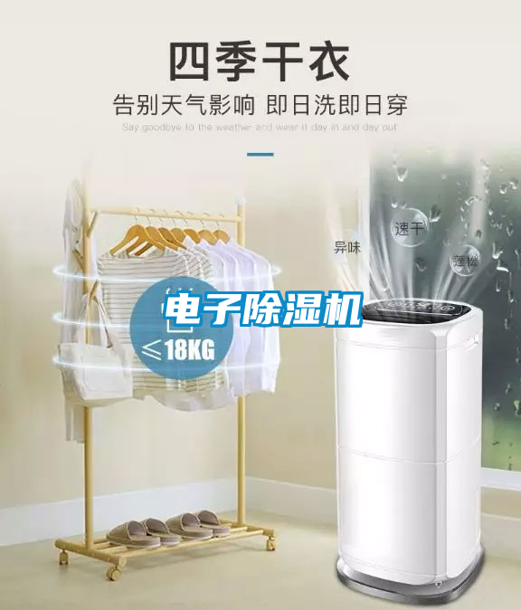 电子麻豆视频黄网站