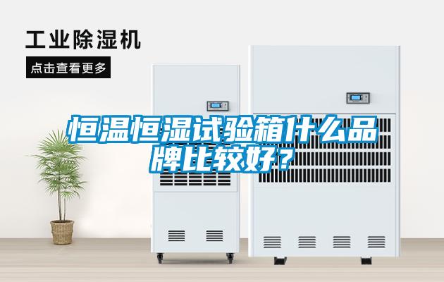 恒温恒湿试验箱什么品牌比较好？