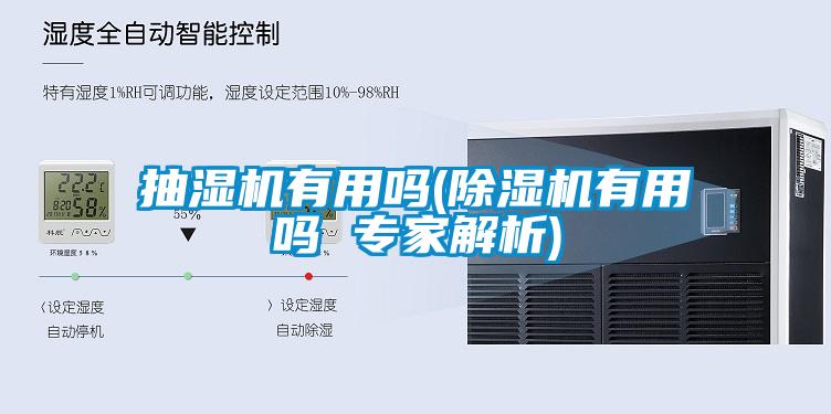 抽湿机有用吗(麻豆视频黄网站有用吗 专家解析)