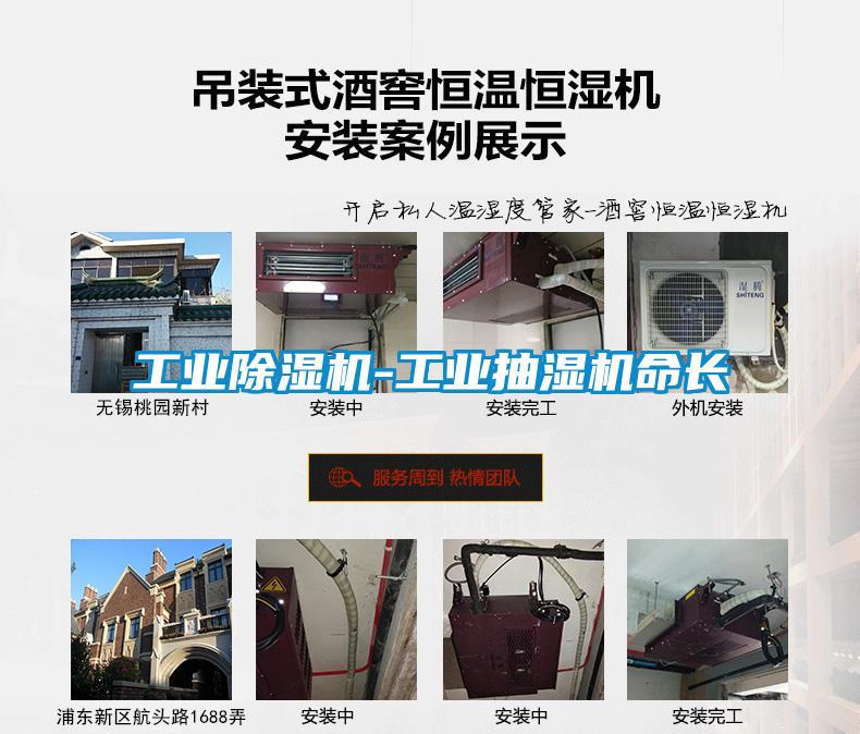 工业麻豆视频黄网站-工业抽湿机命长