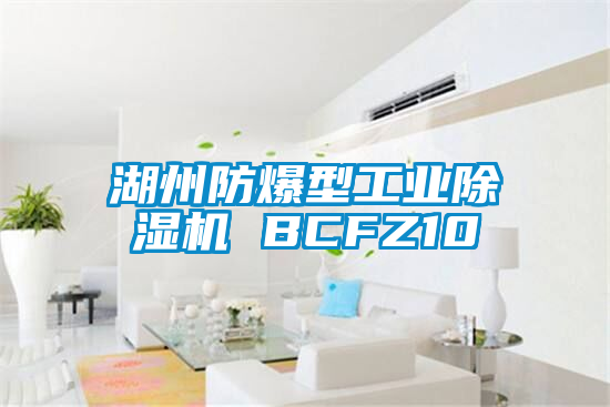 湖州防爆型工业麻豆视频黄网站 BCFZ10