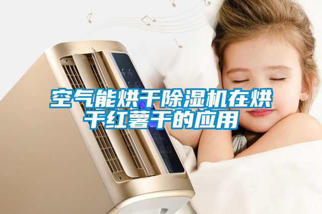 空气能烘干麻豆视频黄网站在烘干红薯干的应用