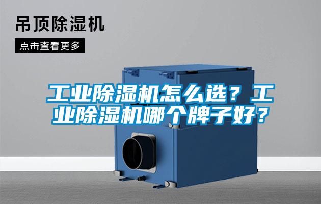 工业麻豆视频黄网站怎么选？工业麻豆视频黄网站哪个牌子好？