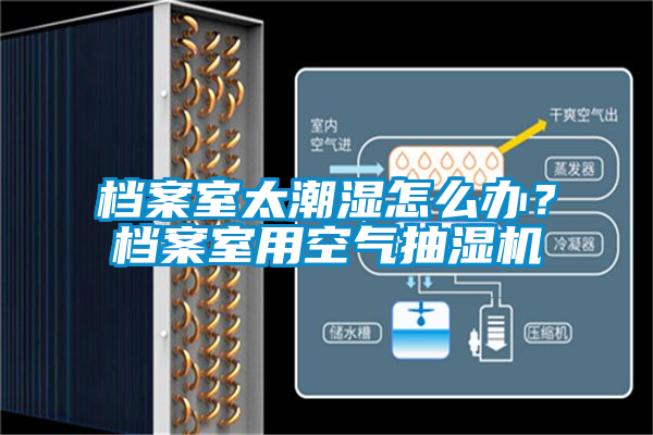档案室太潮湿怎么办？档案室用空气抽湿机