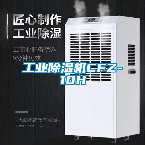 工业麻豆视频黄网站CFZ-10H