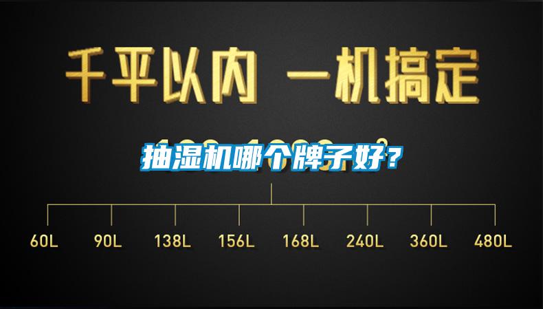 抽湿机哪个牌子好？
