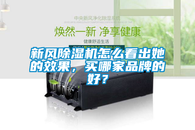 新风麻豆视频黄网站怎么看出她的效果，买哪家品牌的好？