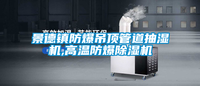 景德镇防爆吊顶管道抽湿机,高温防爆麻豆视频黄网站