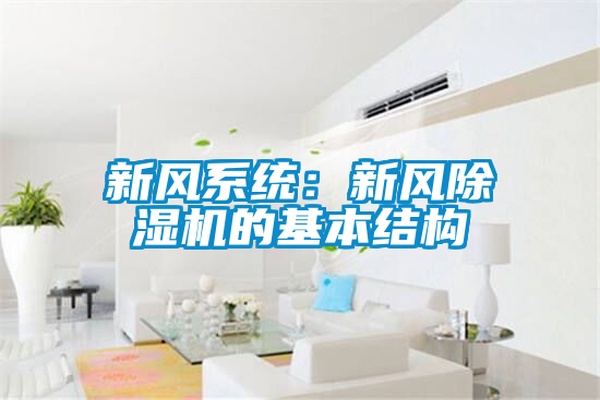 新风系统：新风麻豆视频黄网站的基本结构