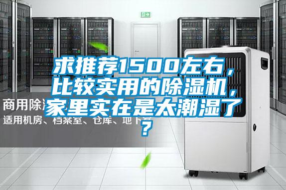 求推荐1500左右，比较实用的麻豆视频黄网站，家里实在是太潮湿了？