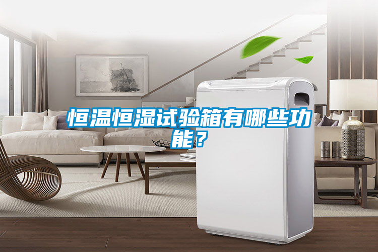 恒温恒湿试验箱有哪些功能？