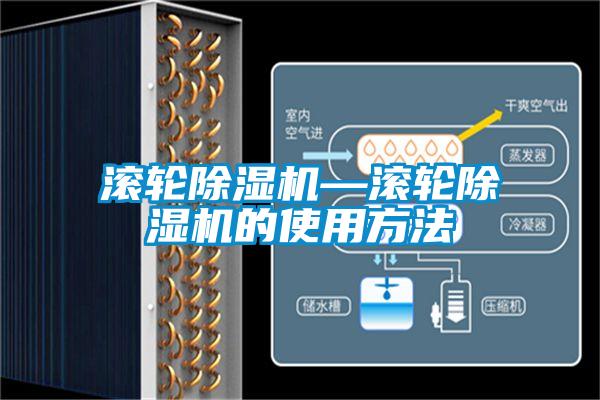 滚轮麻豆视频黄网站—滚轮麻豆视频黄网站的使用方法