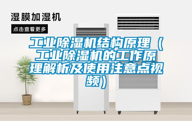 工业麻豆视频黄网站结构原理（工业麻豆视频黄网站的工作原理解析及使用注意点视频）