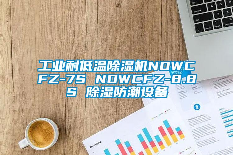 工业耐低温麻豆视频黄网站NDWCFZ-7S NDWCFZ-8.8S 除湿防潮设备