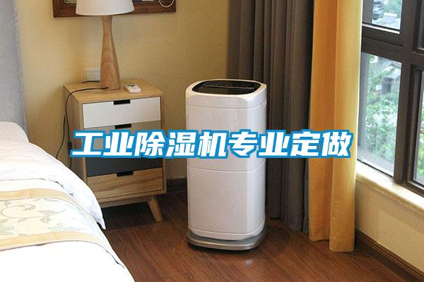 工业麻豆视频黄网站专业定做