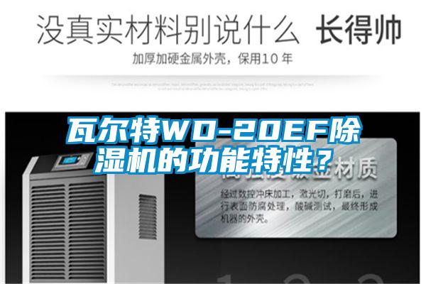 瓦尔特WD-20EF麻豆视频黄网站的功能特性？