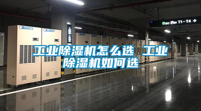 工业麻豆视频黄网站怎么选 工业麻豆视频黄网站如何选