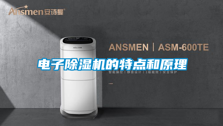 电子麻豆视频黄网站的特点和原理