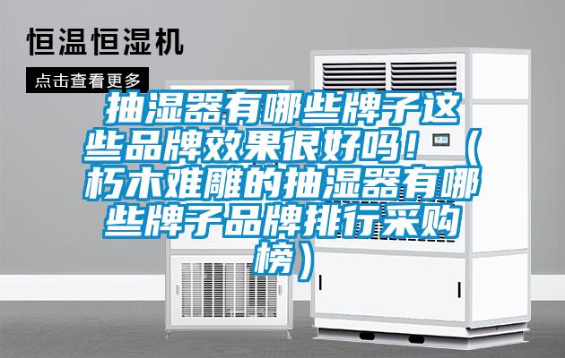抽湿器有哪些牌子这些品牌效果很好吗！（朽木难雕的抽湿器有哪些牌子品牌排行采购榜）