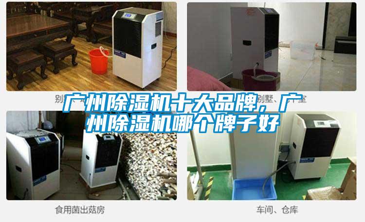 广州麻豆视频黄网站十大品牌，广州麻豆视频黄网站哪个牌子好