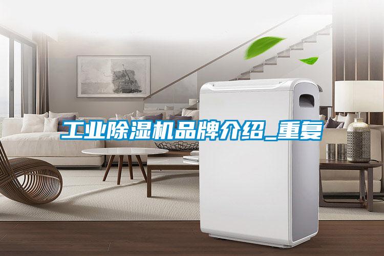 工业麻豆视频黄网站品牌介绍_重复