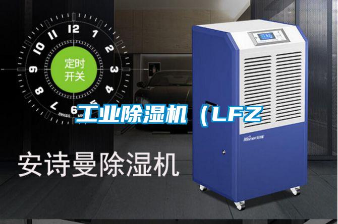 工业麻豆视频黄网站（LFZ