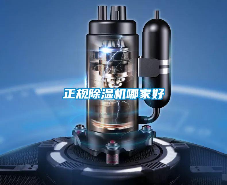 正规麻豆视频黄网站哪家好
