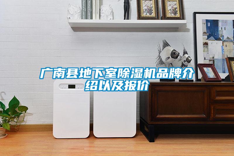 广南县地下室麻豆视频黄网站品牌介绍以及报价