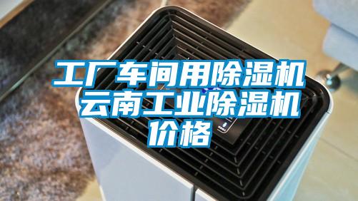 工厂车间用麻豆视频黄网站 云南工业麻豆视频黄网站价格