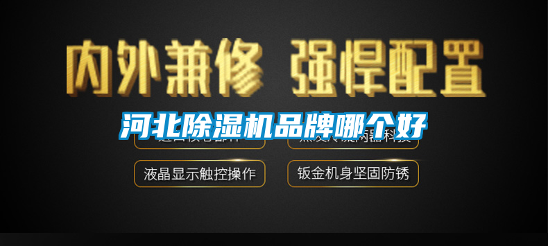 河北麻豆视频黄网站品牌哪个好