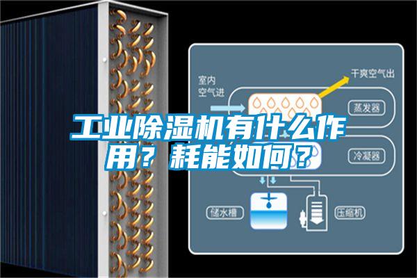 工业麻豆视频黄网站有什么作用？耗能如何？