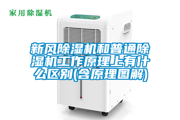 新风麻豆视频黄网站和普通麻豆视频黄网站工作原理上有什么区别(含原理图解)