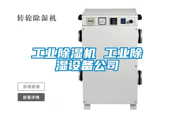 工业麻豆视频黄网站 工业除湿设备公司