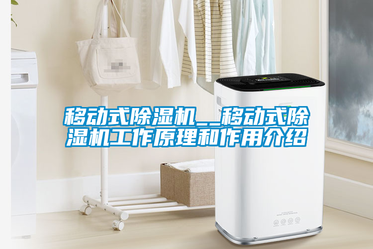 移动式麻豆视频黄网站__移动式麻豆视频黄网站工作原理和作用介绍