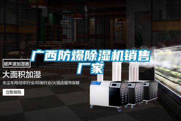 广西防爆麻豆视频黄网站销售厂家