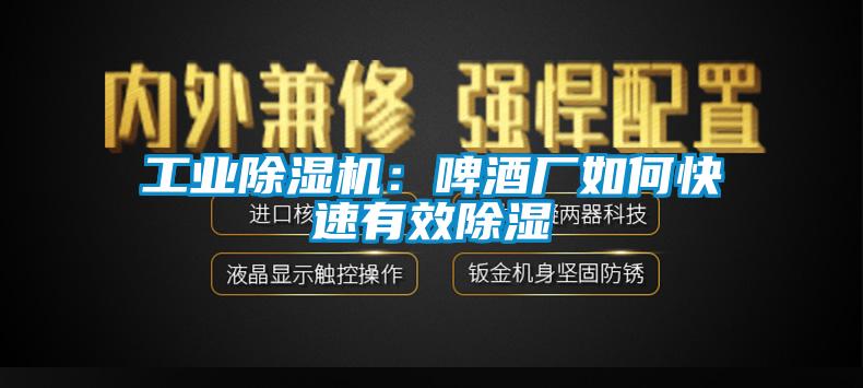 工业麻豆视频黄网站：啤酒厂如何快速有效除湿